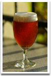 Wolf Dog Amber Ale